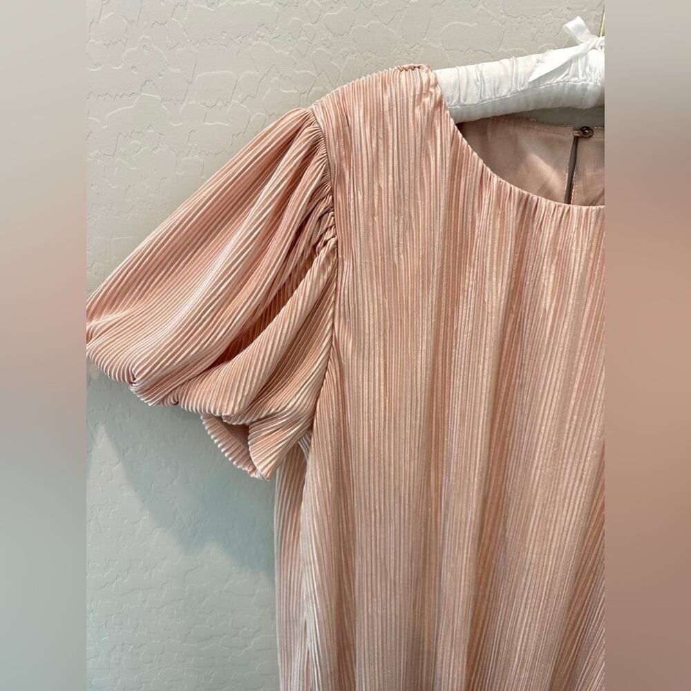 PIPER & SCOOT | Pink Sparkle Pleated Puff Sleeve Top | Size 1X - Picture 3 of 7